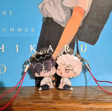 magnetic charms